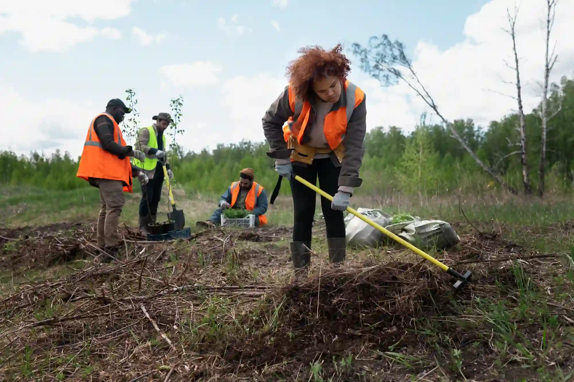 Forestry mulching